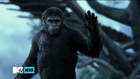 'Breaking Dawn Of The Planet Of The Apes'