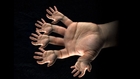 Augmented Hand Series (v.2), Live Screen Recordings
