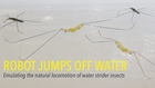 Jumping on Water: Robotic Water Strider