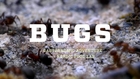 BUGS official trailer 2016