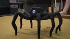 Adam Savage's Cave: Awesome Robot Spider!