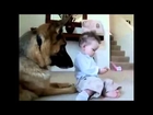 Laughs For Gags Best Funny Dogs And Children Funny Videos with your kids