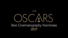 The Oscars 2017: Best Cinematography Nominees