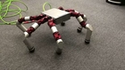 Serpent robot evolves into Snake Monster