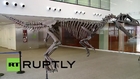 Argentina: New species of dinosaur from Patagonia unveiled in Buenos Aires