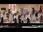 Students Dancing With Dead Cats