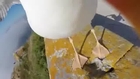 Seagull steals ( go pro ) camera and gives us amazing bird's eye view