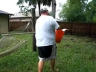 Big Dan Catches Fish In Backyard