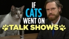If Cats Went On Talk Shows