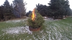 Whoops, Caught my Christmas tree on fire.