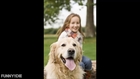 Kayla's Kritters Pet Care - (401) 932-3303