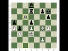greatest-chess-minds-siegbert-tarrasch---part-4.3gp