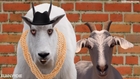 Goat Life Anthem - Goats 4 Life