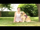 Hearing Dogs Awards 2014 - Life-changing Child Partnership of the Year runners up