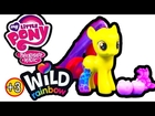 My Little Pony Friendship is Magic Apple Bloom Wild Rainbow Toy Review [Hasbro] [Hub Network]