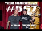 Joe Rogan Experience #567 - Cameron Hanes