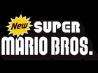 New Super Mario Bros DS 100% Walkthrough Part 3 [720p]