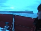 Sailing on the West coast of Iceland