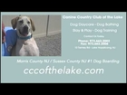 Sussex County NJ Dog Boarding
