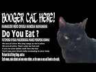 【猫動画】Booger Cat Here!HANAKUSO NEKO MNC!!【CAT VIDEO】