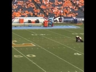Tennessee Fan destroyed by Security