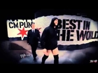 ►CM Punk Tribute 2014 || Until the End ᴴᴰ ◄ #ThankYouPunk