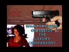 The Luxury Companion - Dave arrested, class F felony charges, sextrafficking, Pornstars & more