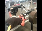 Prime Nutrition Athlete DROC Hammer Strength Bench