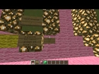 Lockview, Animal Cell in MineCraft
