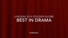 2014 Golden Globe Best In Drama, Nominee - OIM Original