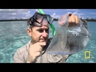 Animal Jam - Dr. Brady Barr and a lionfish