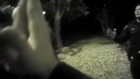 Bodycam Video Shows Officer Shooting Charging Pit Bull