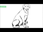 Top 25 Free Printable Dog Coloring Pages Online