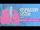 Respiratory System, part 1: Crash Course A&P #31