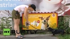 Austria: Dogs can't resist pet food smell billboards