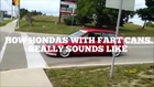 How Honda's with fart cans really sound like
