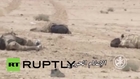 Syria: Syrian military advances on IS in Palmyra *GRAPHIC*