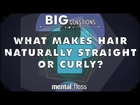 What makes hair naturally straight or curly?  - Big Questions - (Ep. 218)
