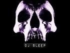 Wildlife Society - Slow 4 Da Po (Chopped & Screwed By DJ Sleep)