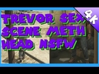 GTA V - Trevor sex scene Meth Head NSFW [1080p HD]