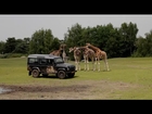 Autovisie op safari met Land Rover Defender - review Autovisie TV