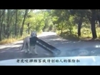 RAW: Tiger tears, rips off car bumper at Badaling Safari Park in China