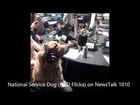 Interview about NSD Flicka and PTSD Service Dogs on NewsTalk 1010