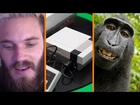 Pewdiepie Apologizes + NES Classic RETURNS + PETA vs Monkey Selfie - The Know