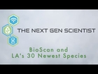 BioSCAN and Los Angeles's 30 Newest Species