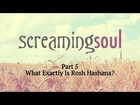 What Exactly Is Rosh Hashana? - Screaming Soul P5 - Rabbi Manis Friedman