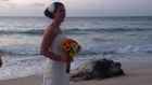 Giant Turtle Photobombs Beach Wedding Pictures