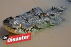 Un homme nage avec des crocodiles / Dr Disaster