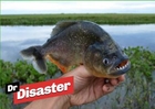 Un piranha pêché dans les Vosges / Dr Disaster