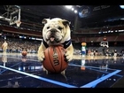 Funny Dogs Playing Sports Compilation 2014
